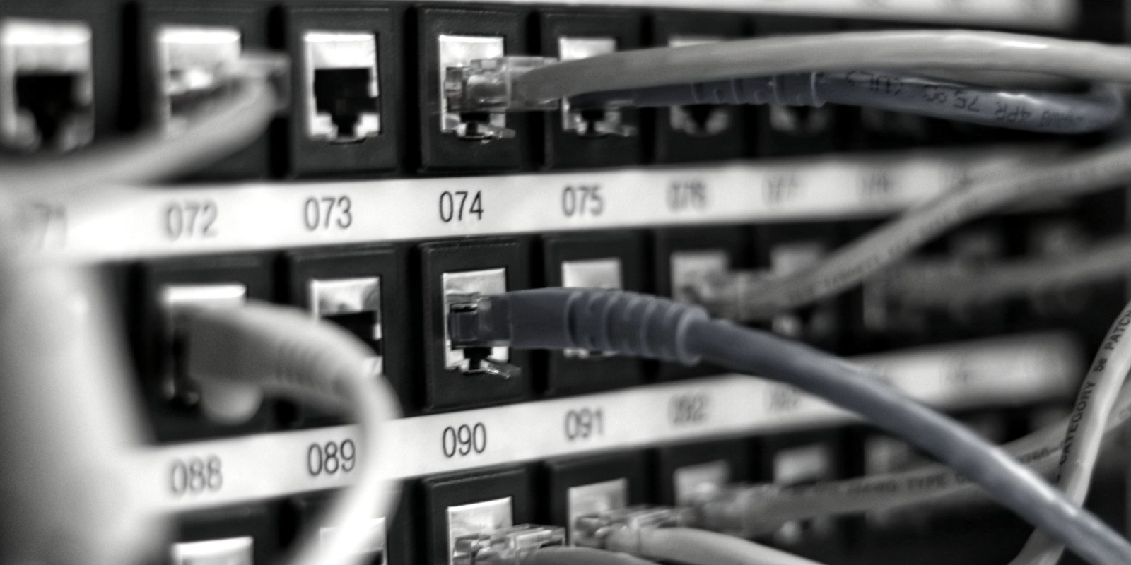Close-up of a network patch panel with cables